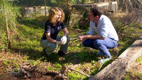 Australian Professor Shari Forbes. (60 Minutes)