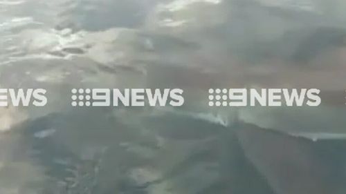 The shark left a few bite marks on the boat. (9NEWS)