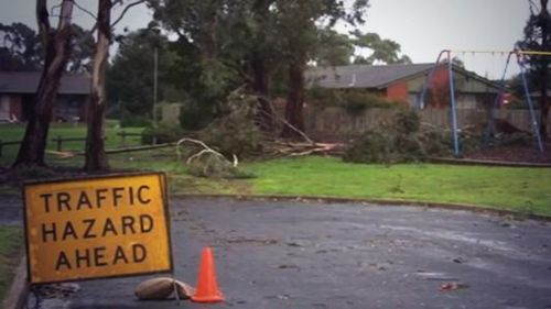 Wind gusts of 95km brought down trees across South Australia. (Virginia Langeberg/9NEWS)