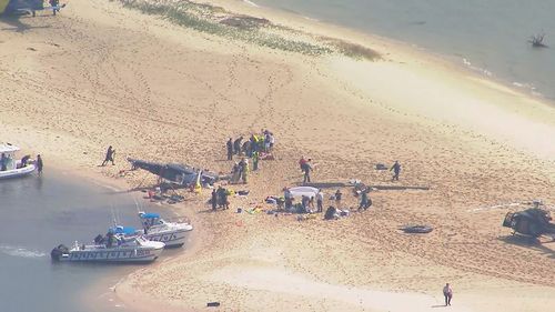 An aerial shot shows the scene after two helicopters collided near Sea World on the Gold Coast. (Nine)