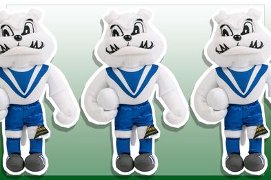 9PR: Canterbury Bulldogs NRL Plush Mascot Teddy Bear