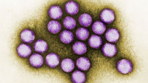 Six children die in adenovirus outbreak at New Jersey medical centre