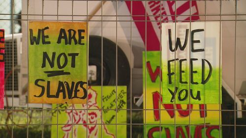 Signs in South Australian factories for Inghams.