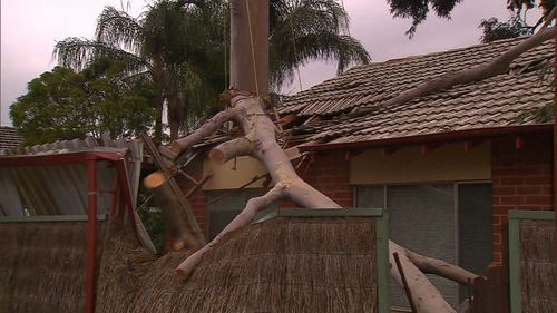 The Ashbrook Avenue home has sustained significant damage. (9NEWS)