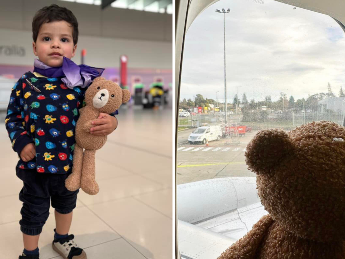 5-year-old boy reunites with lost teddy bear, News