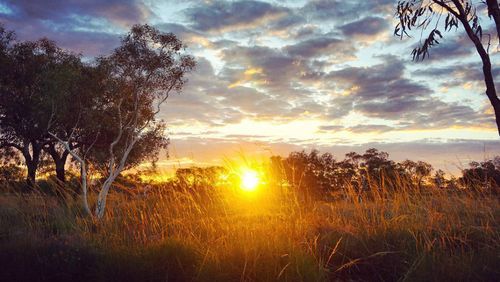 Karijini sunsets are next level.