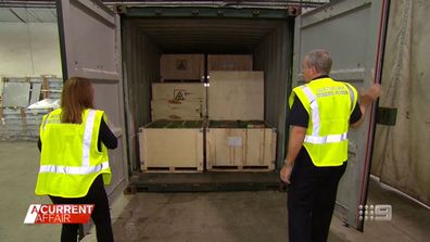 Inside the Border Force operation smoking out the tobacco black market.