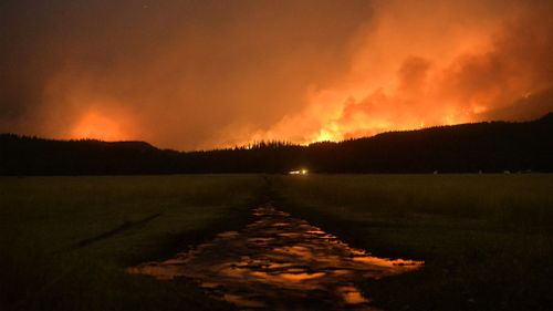 Fire burns in the Lolo National Forest in Montanta. (Associated Press)