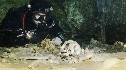 A diver from the Great Mayan Aquifer project looking at human remains believed to be from the Pleistocene era, in the Sac Actun underwater cave system. (AAP)
