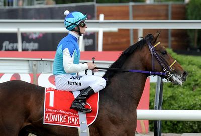 The Japanese stayer collapsed in its stall before dying. (AAP)