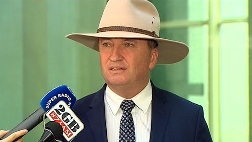 Barnaby Joyce speaking to reporters outside Parliament today. "I thought (Mr Turnbull's attack) was completely unnecessary and all that is going to do is basically pull the scab off to everybody to have a look at," he said. (9NEWS)