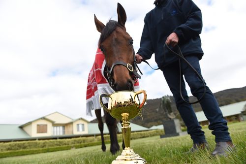 Almandin and the Melbourne Cup it won in last year's race. (AAP)