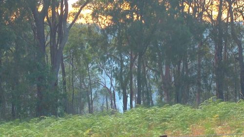 Smoke can be seen in the dense bushland surrounding the cabin. (9NEWS)
