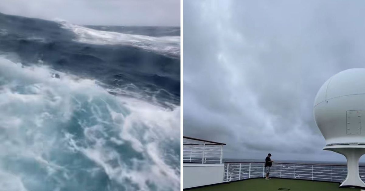 Video shows towering swells cruise ships have encountered