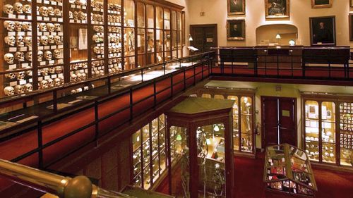 The Mutter Museum is known for its collection of human body parts. (Mutter Museum)