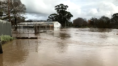 Traralgon flooded when the local creek burst its banks.