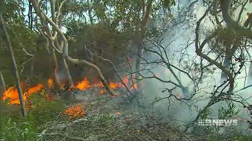 South Australian fire authorities are urging residents to start preparing for the coming bushfire season, amid dangerous weather conditions.