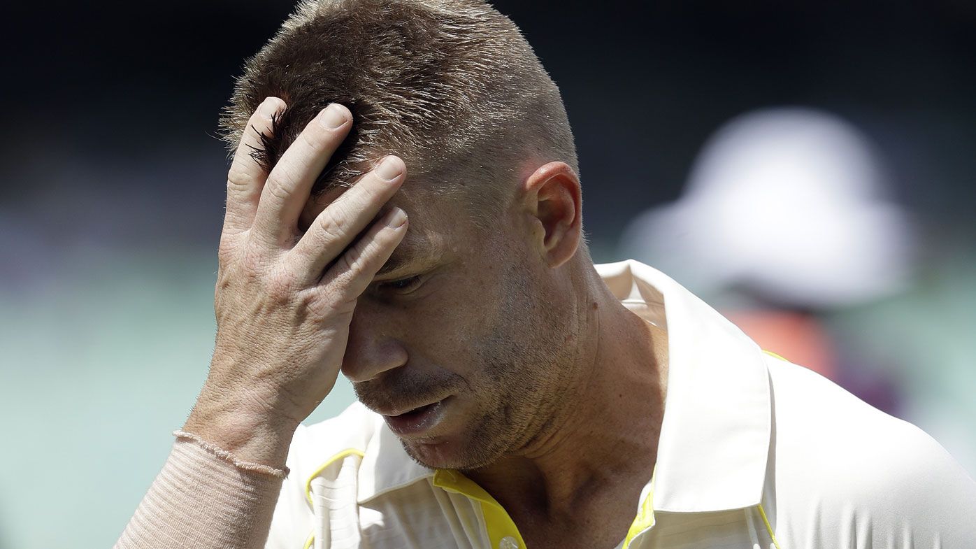 David Warner with his hands on his head