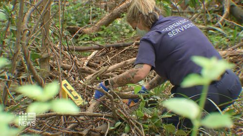 A faded piece of blue fabric has been found during the search for William Tyrrell's remains.