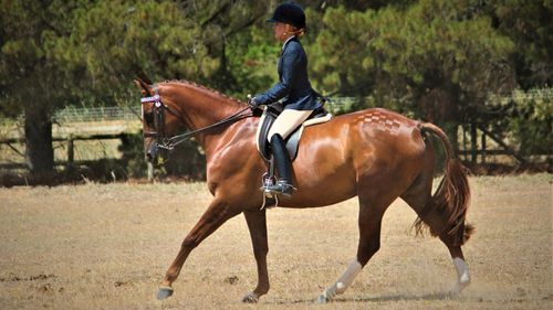 In May 2019, Mrs Doolan competed in the Yass Show, winning the Champion District Rider and the Charles Sainsbury Perpetual Trophy.