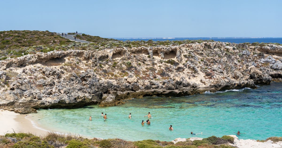 Tourist fighting for life following accident at popular Australian holiday spot