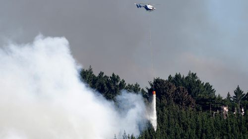 Hundreds evacuated as bushfire rages in Christchurch, New Zealand