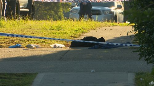 190611 NSW Sydney police man stabbed Sadleir Liverpool crime news Australia