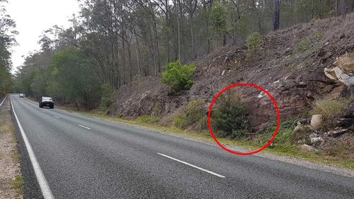 The policewoman is barely visible behind this bush.