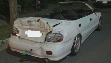 An Adelaide man who hacked off the roof of his car, turning it into a DIY convertible, has been jailed until the end of the year.