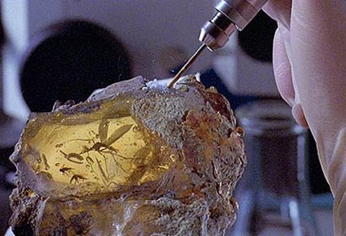 Still of mosquito in amber in Jurassic Park (Universal)