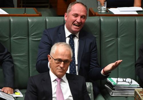 Former deputy prime minister Barnaby Joyce and ex prime minister Malcolm Turnbull.