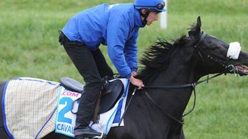 Cavalryman before being scratched. (9NEWS)