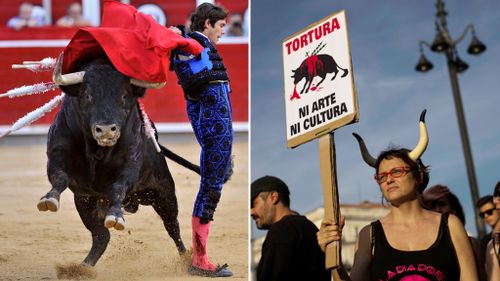 Thousands rally in Madrid to demand bullfighting ban