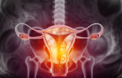 Australia's first-ever specialised Endometriosis and Pelvic Pain clinics have been rolled out in metro and regional areas across the country.
