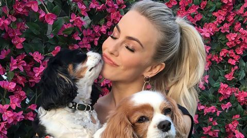 Julianne Hough shared the news of her dogs Lexi and Harley passing away. 