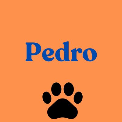 5. Pedro