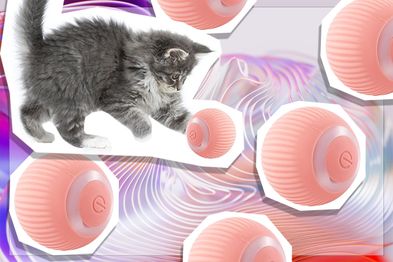 9PR: Havenfly Interactive Cat Ball, Pink
