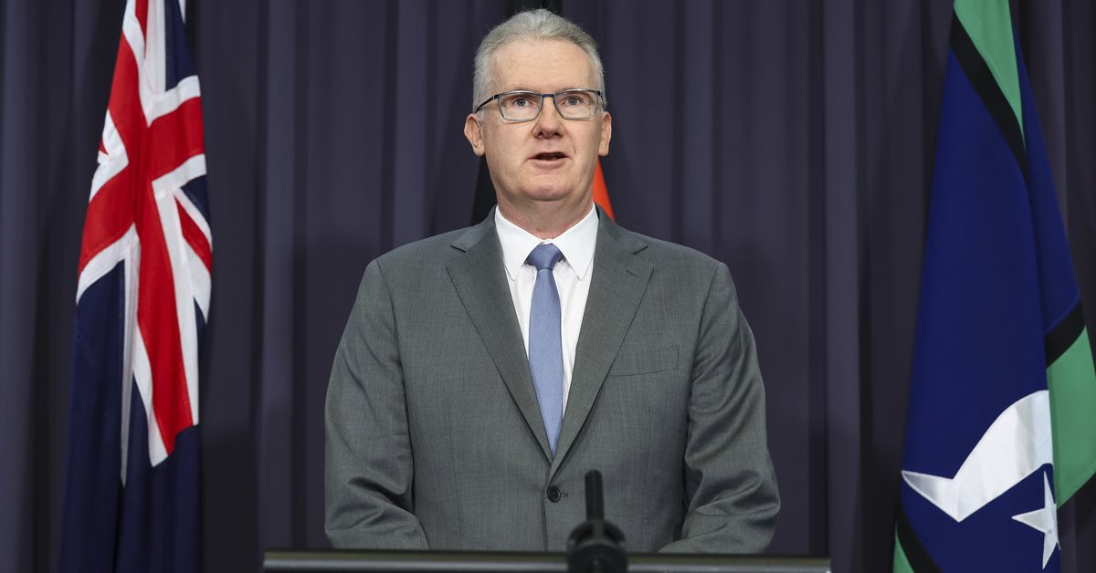 ISIS brides set to return to Australia