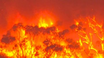 Seven blazes were lit between Cherry Gardens and Clarendon, two semi-rural suburbs in Adelaide, in January 2021.