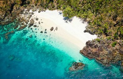 Daydream Island's Lover's Cove, blanketed in coral.