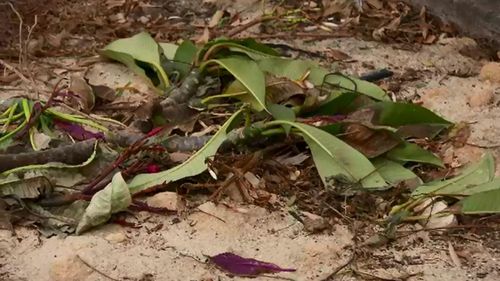 Destroying the gardens was "heartless", a local MP said.