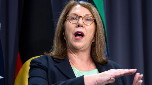 Catherine King during a press conference at Parliament House