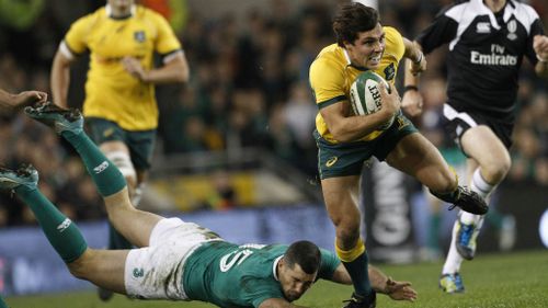 Wallabies reportedly damage Dublin dressing room after Test loss