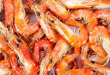 What is the more formal name for the prawn, a suborder of decapoda?