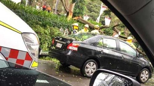 One of the trapped cars is pictured covered in leaves and twigs as emergency workers with chainsaws clear the road. (Supplied/Twitter)