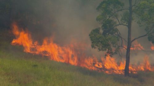 Bushfire burning in Queensland.