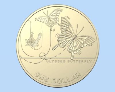 U is for Ulysses Butterfly