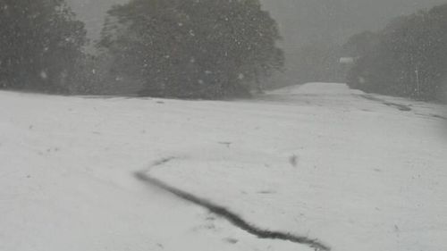 Spring snows and wild winds as NSW weather goes crazy
