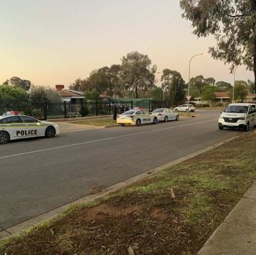 Police were called to a home in Adelaide's north this morning after a man was slashed in the face with a meat cleaver.