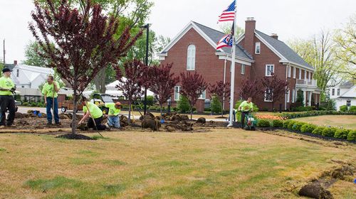 University's $2.1m grass poisoned in mix-up